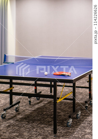宿泊施設の卓球台 114226626