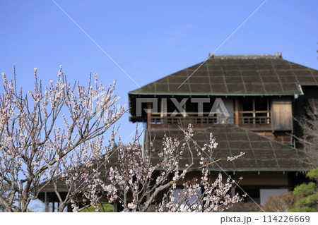日本三名園の一つ、偕楽園(かいらくえん)の見晴らし広場から望む、満開の梅と好文亭(こうぶんてい) 日本三名園の一つ、偕楽園(かいらくえん)の見晴らし広場から望む、満開の梅と好文亭(こうぶんてい) 114226669