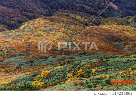 秋の栗駒山から見る紅葉の山肌 秋の栗駒山から見る紅葉の山肌 114226862