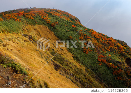 秋の栗駒山から見る紅葉の山肌 114226866