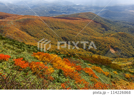 秋の栗駒山から見る紅葉の山肌 114226868
