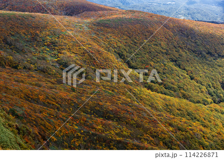 秋の栗駒山から見る紅葉の山肌 114226871