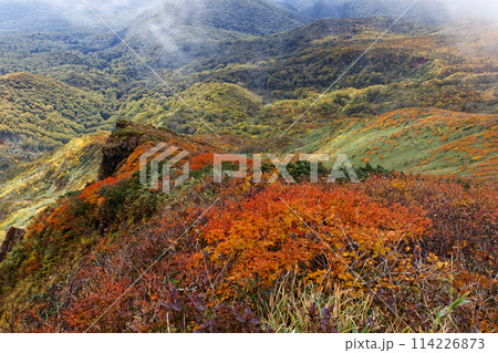 秋の栗駒山から見る紅葉の山肌 秋の栗駒山から見る紅葉の山肌 114226873