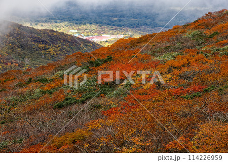 紅葉の栗駒山の風景 114226959