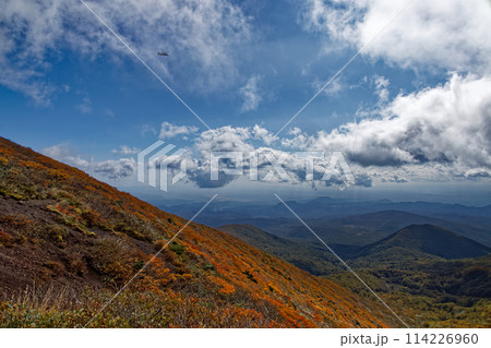 紅葉の栗駒山の風景 114226960