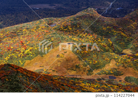 秋の栗駒山稜線から見る紅葉の山肌 114227044