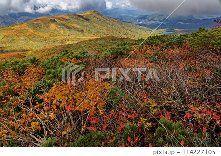 栗駒山・天馬尾根の紅葉 114227105