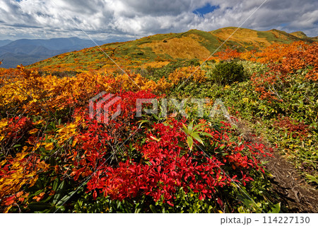 栗駒山・天馬尾根の紅葉 114227130