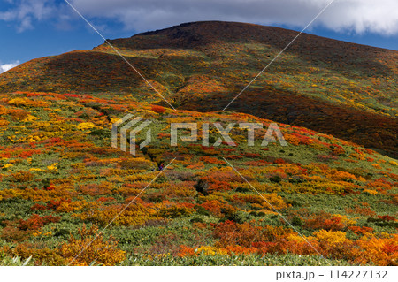 栗駒山・天馬尾根の紅葉 栗駒山・天馬尾根の紅葉 114227132