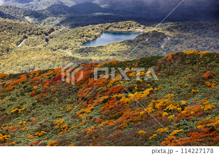 栗駒山稜線から見る紅葉の山肌と須川湖 114227178