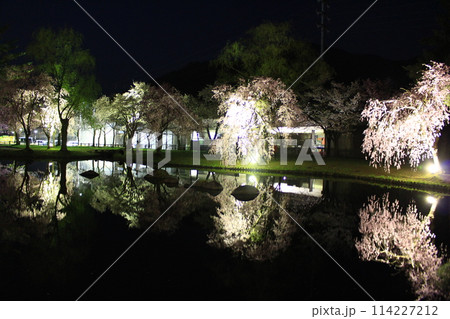 湯沢中央公園・夜桜 114227212