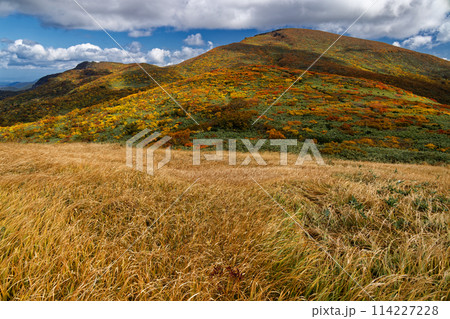天馬尾根から見る紅葉の栗駒山 天馬尾根から見る紅葉の栗駒山 114227228