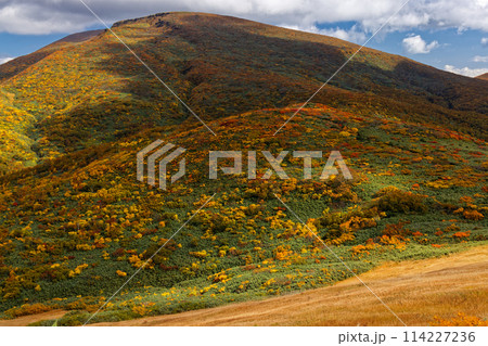 天馬尾根から見る紅葉の栗駒山 114227236