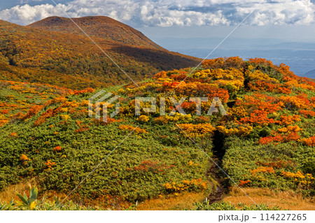 栗駒山・天馬尾根の紅葉 栗駒山・天馬尾根の紅葉 114227265