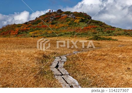 栗駒山・白銀草原の草紅葉 114227307