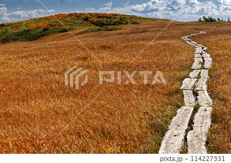 栗駒山・天馬尾根の紅葉 114227331