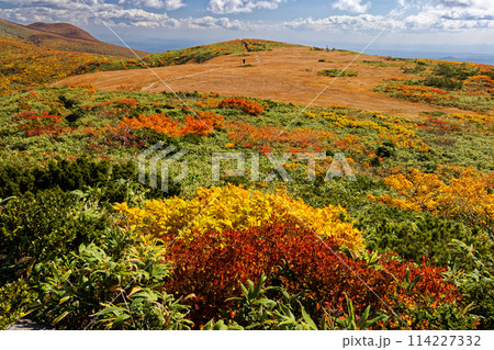 栗駒山・天馬尾根の紅葉 114227332