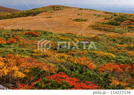 栗駒山・天馬尾根の紅葉 栗駒山・天馬尾根の紅葉 114227336