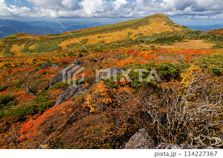 栗駒山・天馬尾根の紅葉 114227367