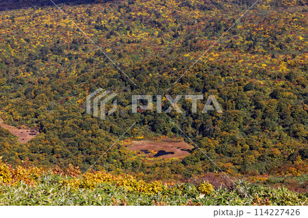 秋の栗駒山稜線から見る紅葉の山肌 秋の栗駒山稜線から見る紅葉の山肌 114227426