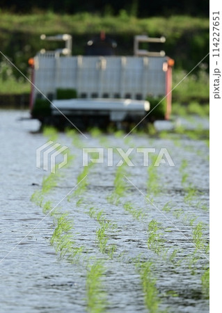 ちょっと一休み 114227651