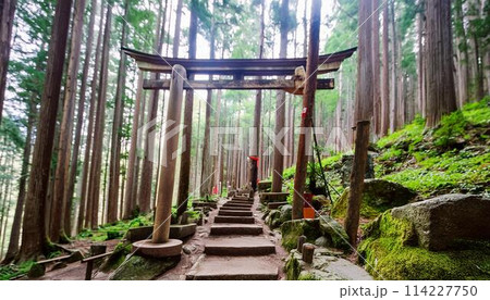 山奥の中の森の神社 114227750