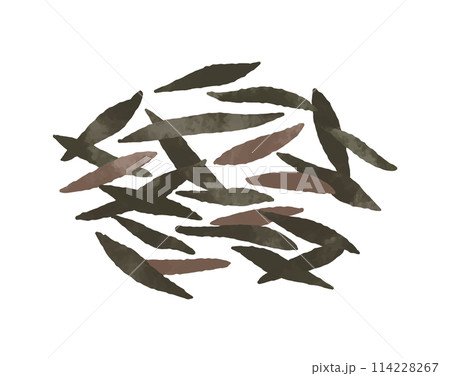 芽ひじき 114228267