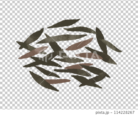 芽ひじき 114228267