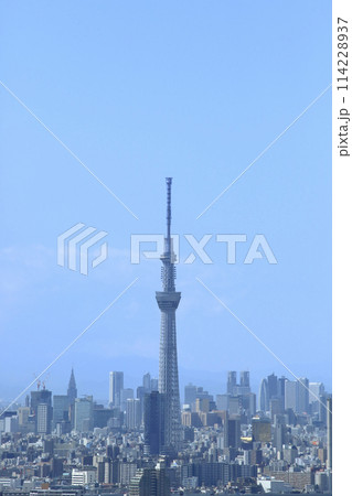 東京スカイツリーと青空 114228937