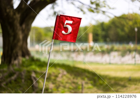 埼玉県新座市新座市総合運動公園　マレットゴルフ場 114228976