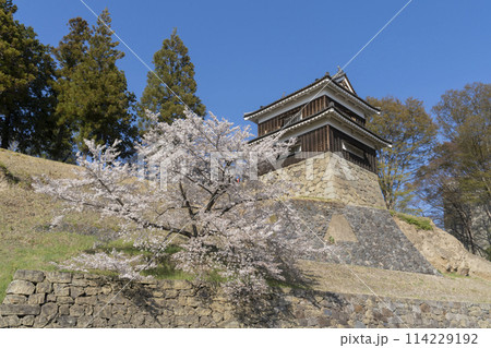 上田城の桜 114229192