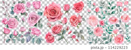Set of Sweet pink rose flower. Watercolor collection of hand drawn flowers. Botanical plant illustration transparent background. PNG 114229223