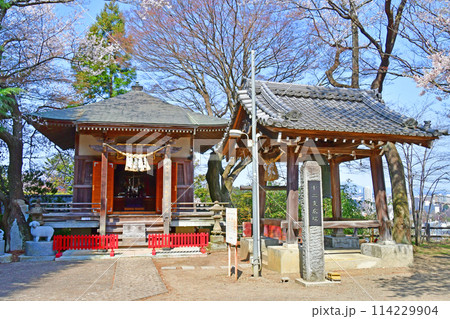 杜の都仙台　大満寺　虚空蔵堂、鐘楼堂　千躰堂　干支の広場 114229904