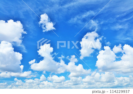 夏の青空と雲 夏の青空と雲 114229937