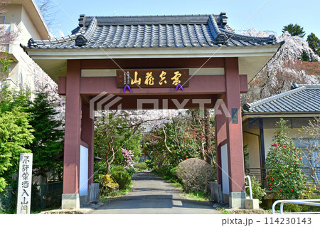 杜の都仙台　大満寺　山門 114230143