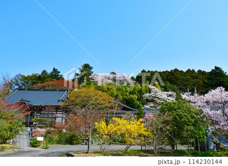 杜の都仙台 愛宕山 大満寺 広場 杜の都仙台 愛宕山 大満寺 広場 114230144