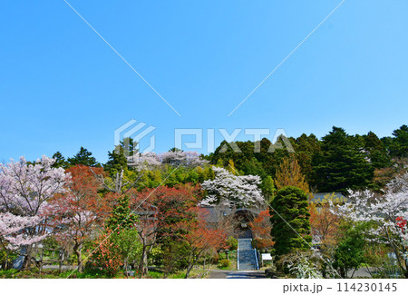 杜の都仙台 愛宕山 大満寺 広場 杜の都仙台 愛宕山 大満寺 広場 114230145