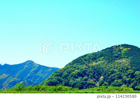 静岡市郊外春の里山風景 114230580