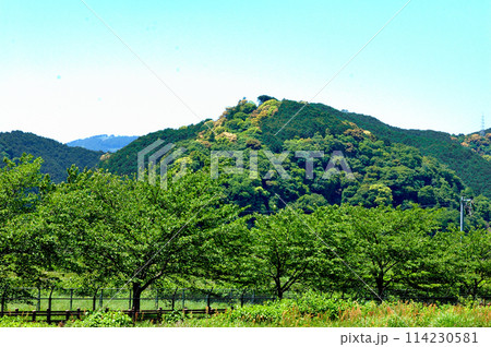 静岡市郊外春の里山風景 114230581