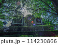 新緑の緑の中の洋館 114230866