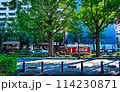 横浜山下公園通りの休日の風景 114230871