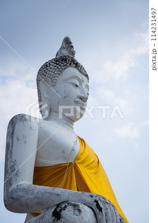 Ayutthaya historical park 114231497