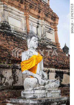 Ayutthaya historical park 114231513