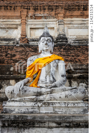 Ayutthaya historical park 114231514