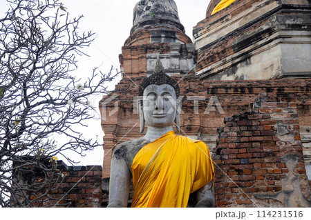 Ayutthaya historical park 114231516