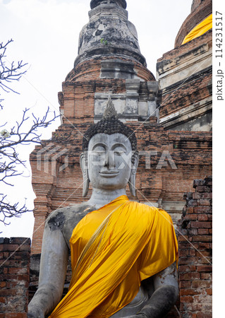 Ayutthaya historical park 114231517
