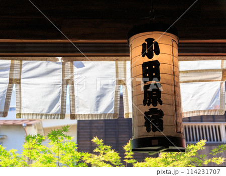 「小田原宿」と書かれた小田原提灯 114231707