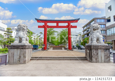 鎌倉 若宮大路の段葛 二の鳥居 鎌倉 若宮大路の段葛 二の鳥居 114231723