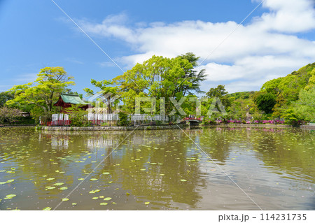 鎌倉 鶴岡八幡宮の源氏池にある旗上弁財天社 鎌倉 鶴岡八幡宮の源氏池にある旗上弁財天社 114231735