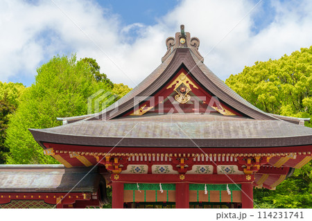 鎌倉 鶴岡八幡宮の舞殿 鎌倉 鶴岡八幡宮の舞殿 114231741